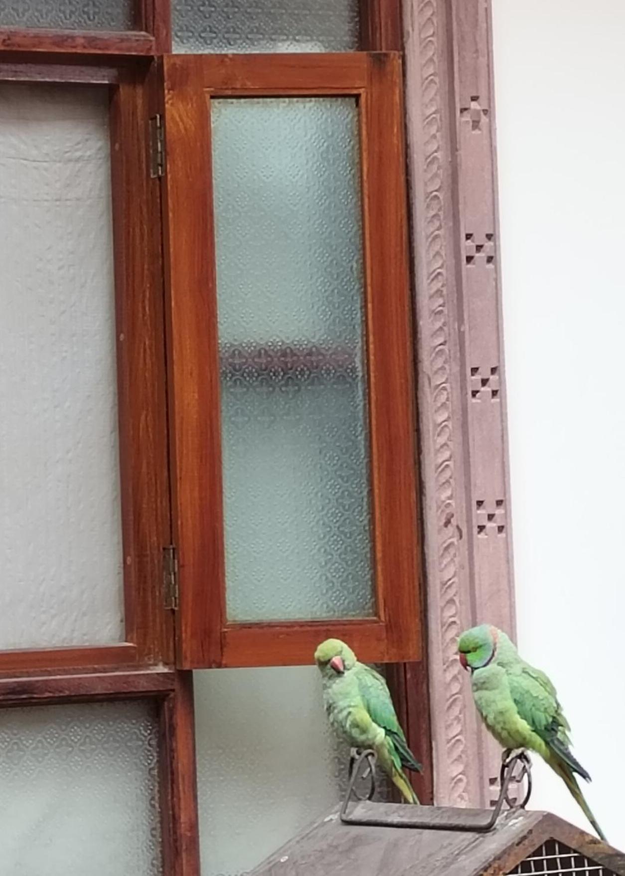 Hotel Rigmor Haveli Džódhpur Exteriér fotografie